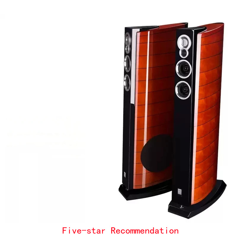 Home Cinema High End - Enceintes de sol DX-5 10 pouces,