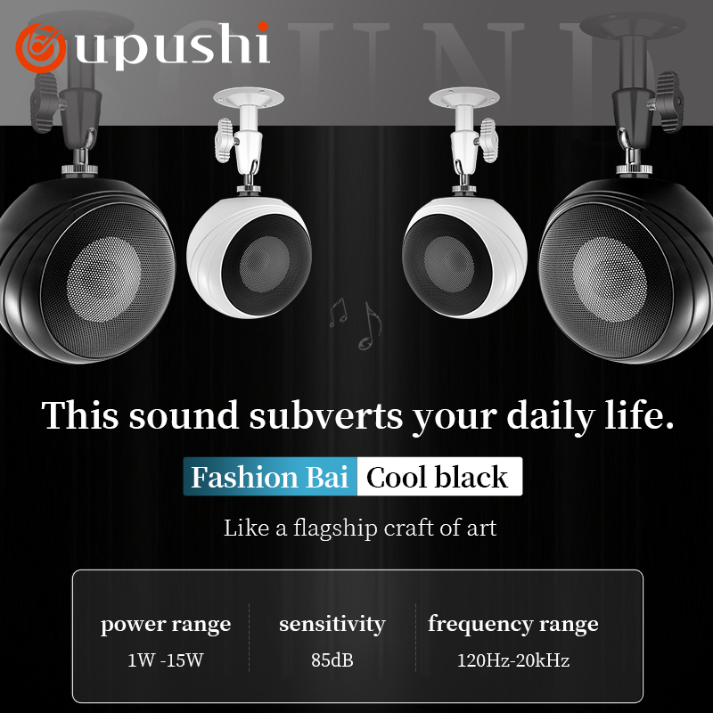 Oupushi – système audio mural  - Wall Mount Speaker avis et prix