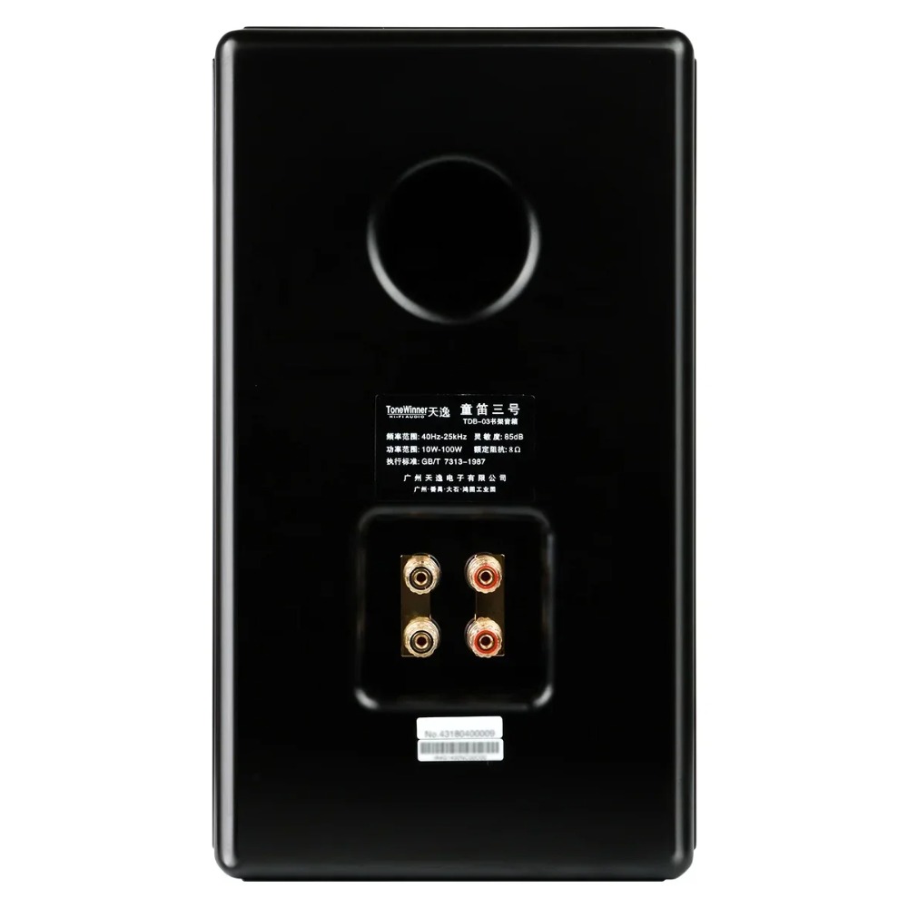 Enceintes tour de sol TD-3 de  - Home Cinema Qualité avis et prix