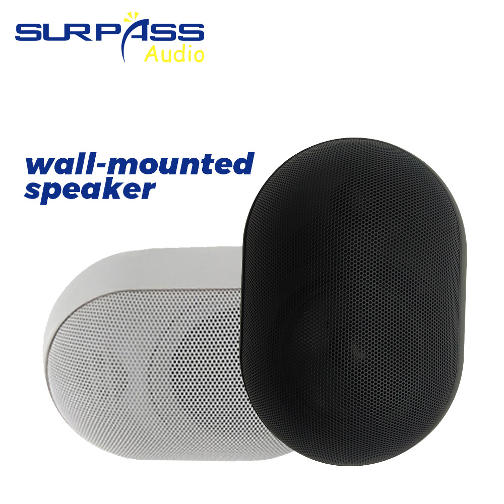 30W haut-parleur mural étanche - Wall Mount Speaker avis et prix