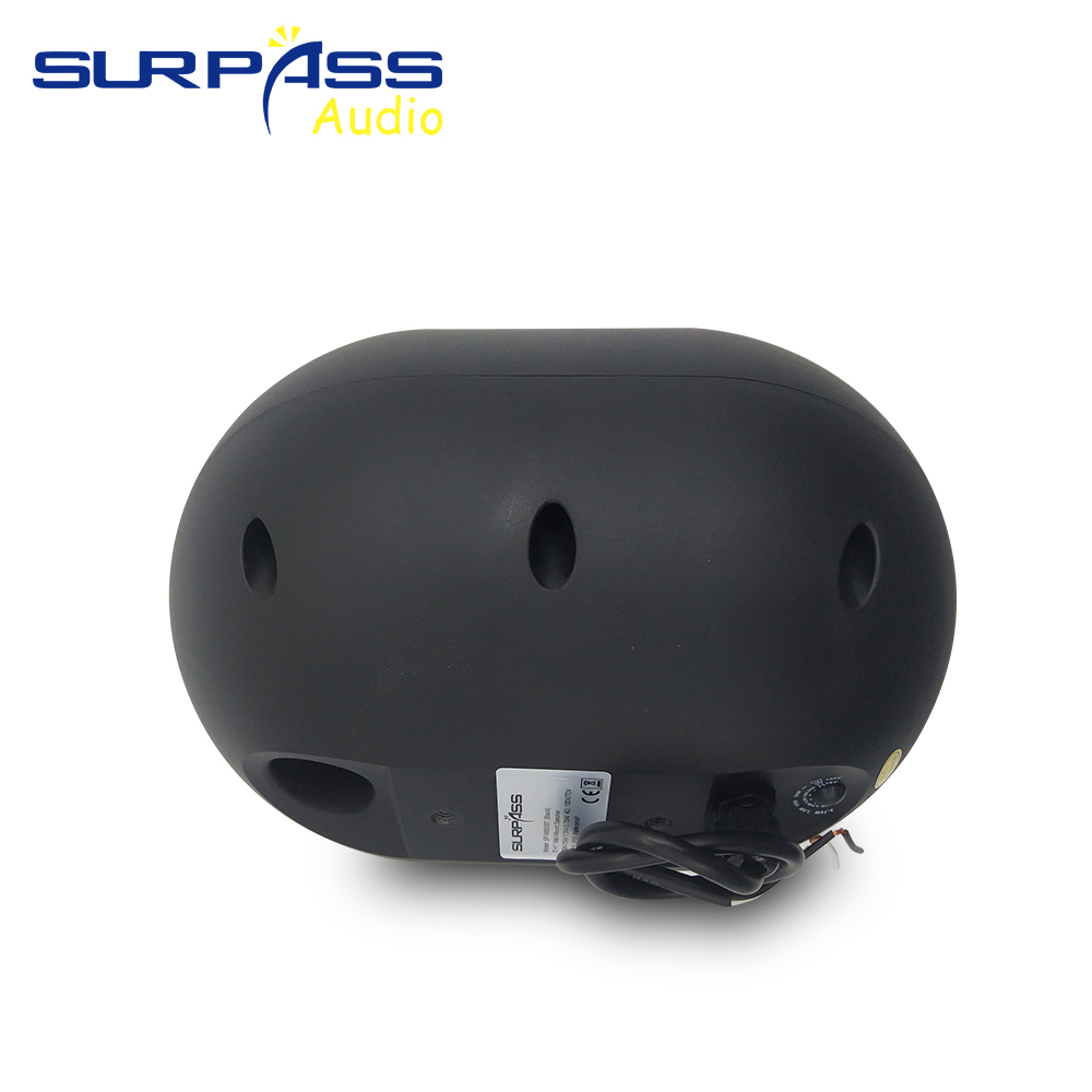 30W haut-parleur mural étanche - Wall Mount Speaker avis et prix
